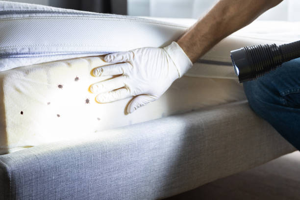 Best Best Pest Control Companies  in Cheviot, OH