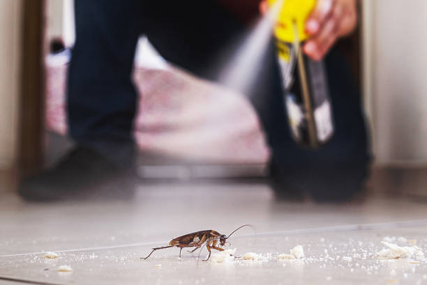 Pest Control Cost in Cheviot, OH