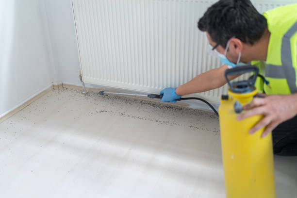Best Local Pest Control Services  in Cheviot, OH