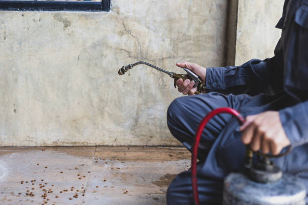 Best Commercial Pest Control Services  in Cheviot, OH